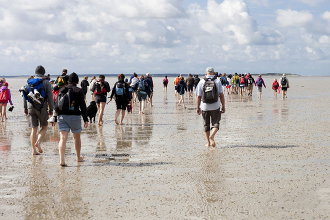 Wadlopen