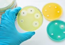 Antimicrobial Susceptibility Testing