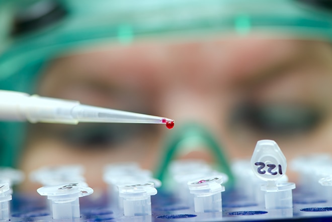 Laboratory Assistant Analyzing A Dangerous Infection