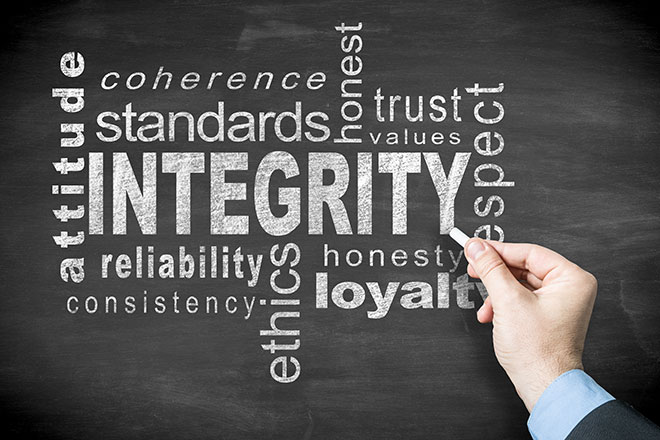Steward Ownership Integriteit