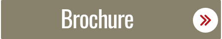 partner-image