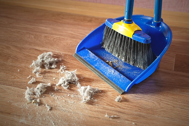 Dust On A House Floor And Floor Brush With Dustpan Background. H