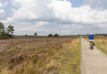 Gezondveluwe