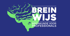 Beeldmerk Breinwijs Rgb
