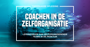 Zor 0540 Beeldmerk Coachen In De Zelforganisatie Rgb
