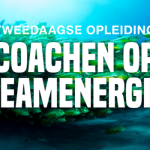 Coachen 700x350_titel