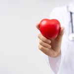Close up hand of doctor holding red heart for heart disease for health insurance service  concept