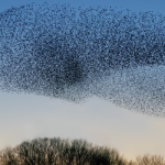 Complexity (1)