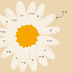 Echte bloemen in het zkh_no-go